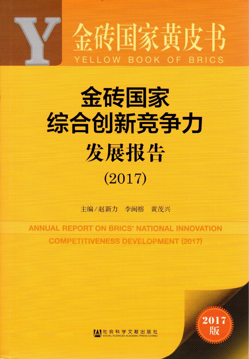 美女被草啊啊啊啊啊哎呀金砖国家综合创新竞争力发展报告（2017）